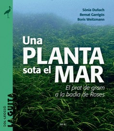 Una planta sota el mar